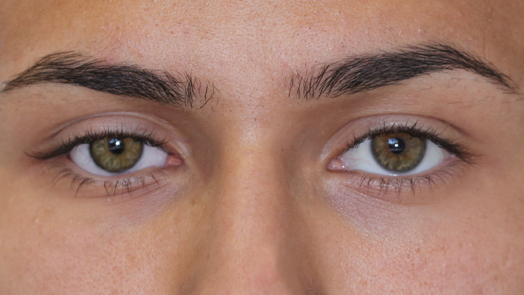 closeup